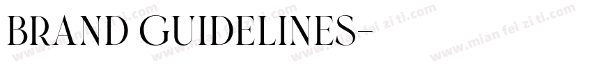 Brand Guidelines字体转换